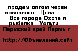 продам оптом черви новозного › Цена ­ 600 - Все города Охота и рыбалка » Услуги   . Пермский край,Пермь г.